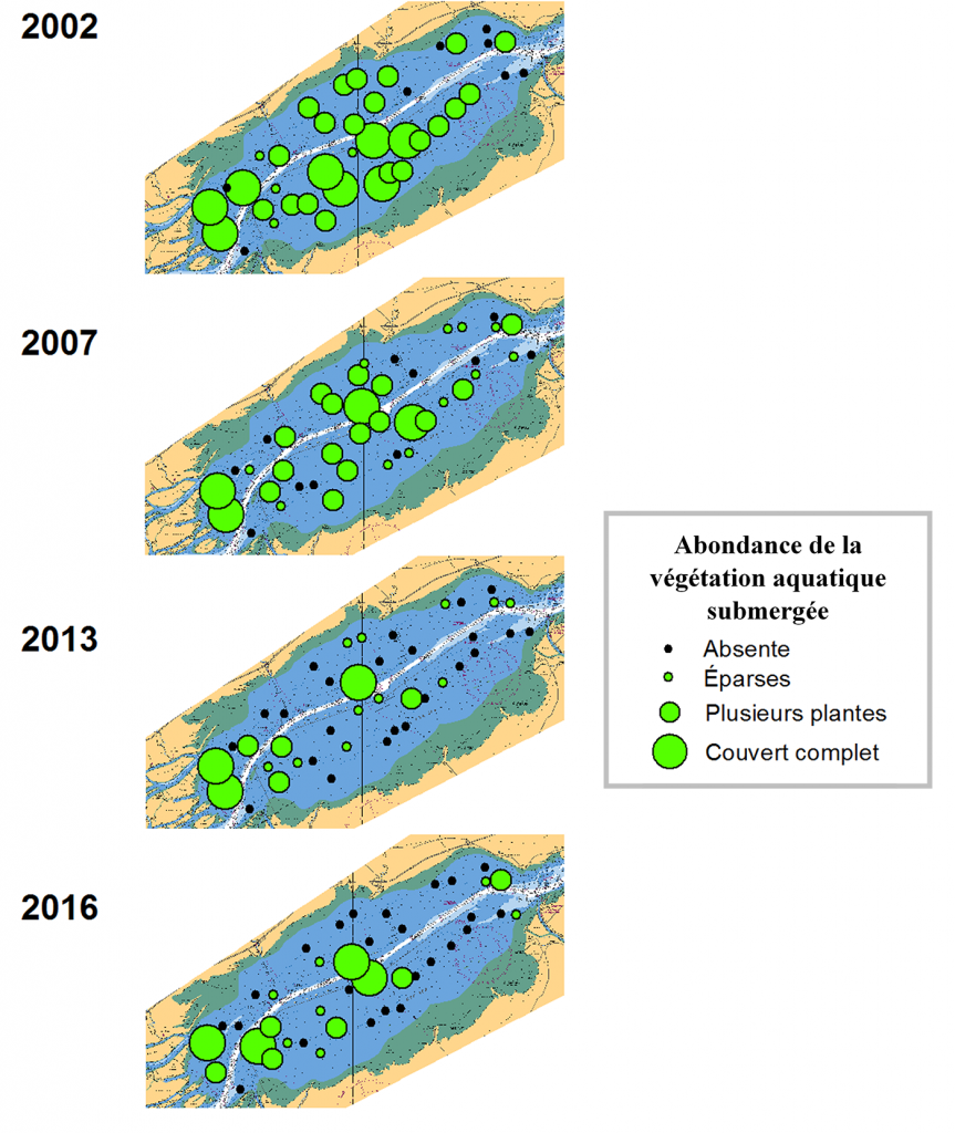 Figure 1 - Abundance of submerged aquatic vegetation in Lake Saint-Pierre from 2002 to 2016 (from Magnan et al. 2017).