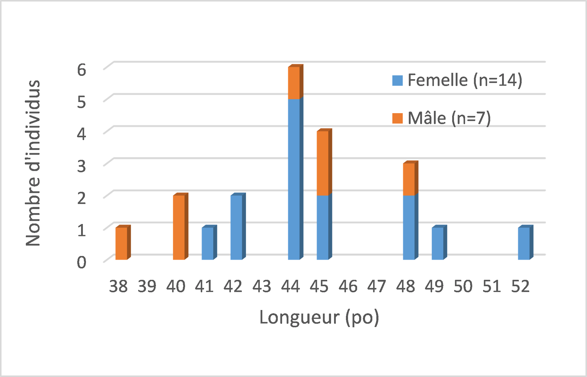 Figure 5 - Length frequency distribution of marked Muskellunge in Lake Saint-Pierre.