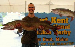 Chaque année un tournoi de pêche au maskinongé se tient à Fort Kent dans le Maine avec des bourses totalisant 35 000$ USD.